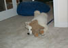kodie004