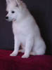 leo08