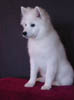 leo09