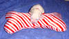 PIC00067a