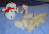 PIC00077a