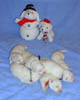 PIC00081a