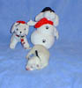 PIC00087a