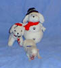 PIC00089a