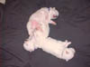 PIC00149