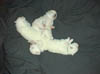 PIC00154