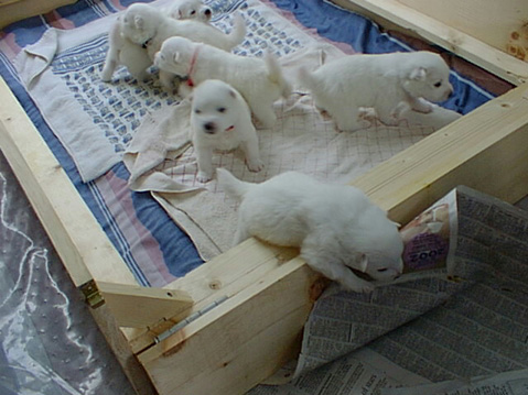 PIC00174
