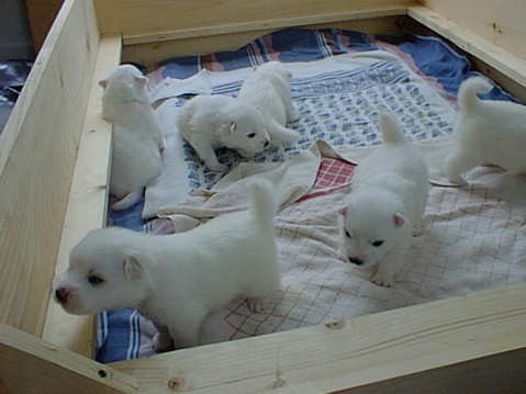 PIC00177