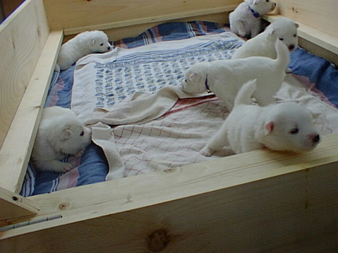 PIC00182