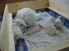 PIC00175
