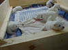 PIC00182