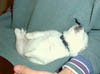PIC00187