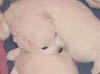 DSC00004