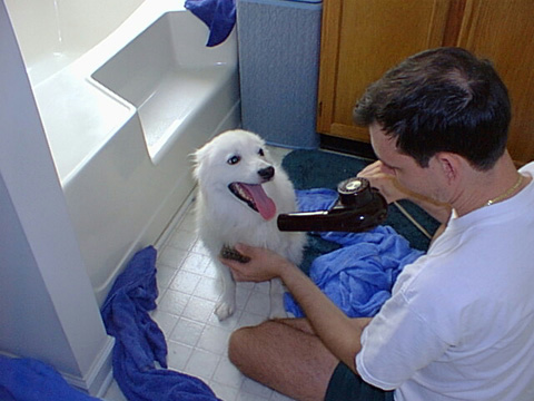 PIC00046