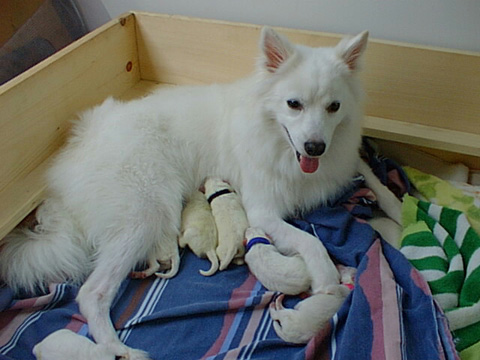 PIC00051