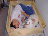 PIC00001