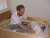 PIC00004