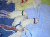 PIC00035