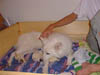 PIC00056