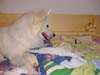 PIC00062
