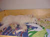 PIC00063