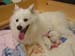 DSC03517