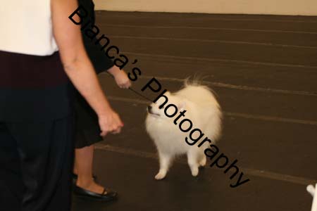 IMG_0569