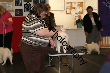 IMG_0604