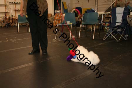 IMG_0636