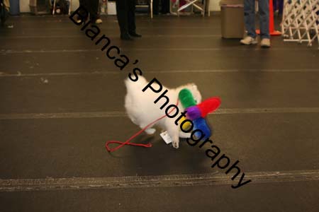 IMG_0649