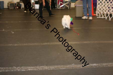 IMG_0651