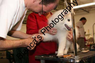 IMG 09580