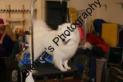 IMG 09586