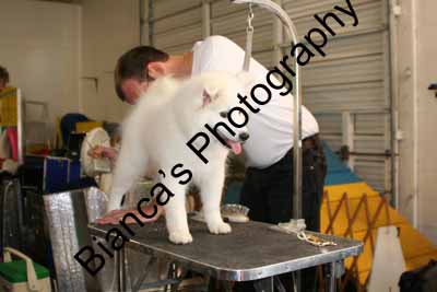 IMG 09600