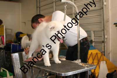 IMG 09601
