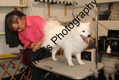IMG 09610