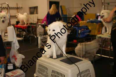 IMG 09616