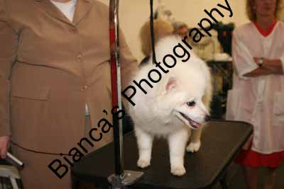 IMG 09619