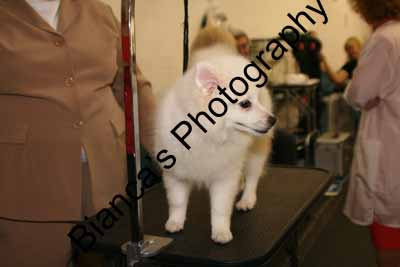 IMG 09620