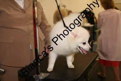 IMG 09621