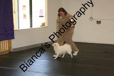 IMG 09658