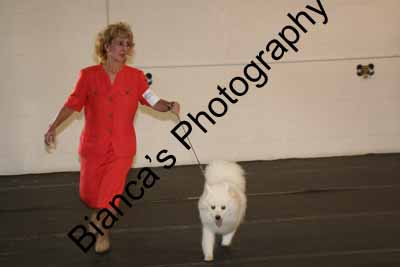 IMG 09700