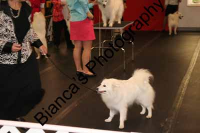 IMG 09719