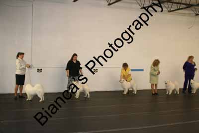 IMG 09766