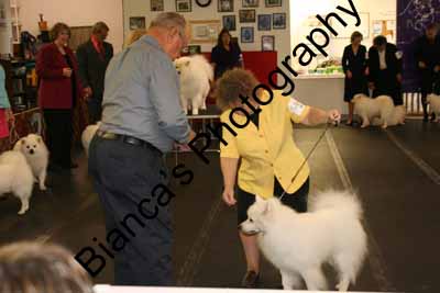 IMG 09780