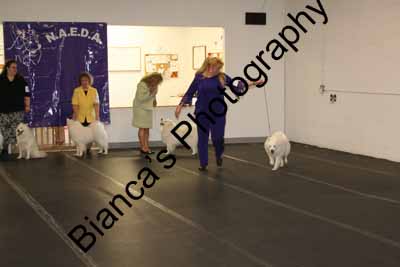 IMG 09785