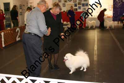 IMG 09825