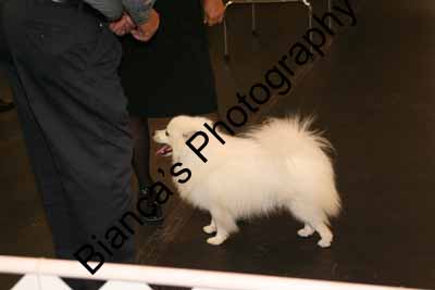 IMG 09826