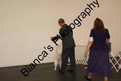 IMG 09875