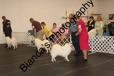 IMG 09890